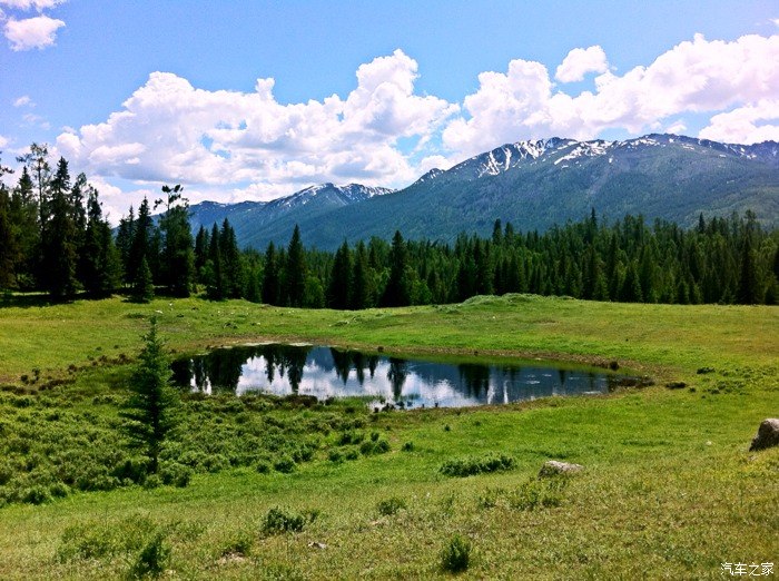 端午节的新疆喀纳斯纯净的天地自然