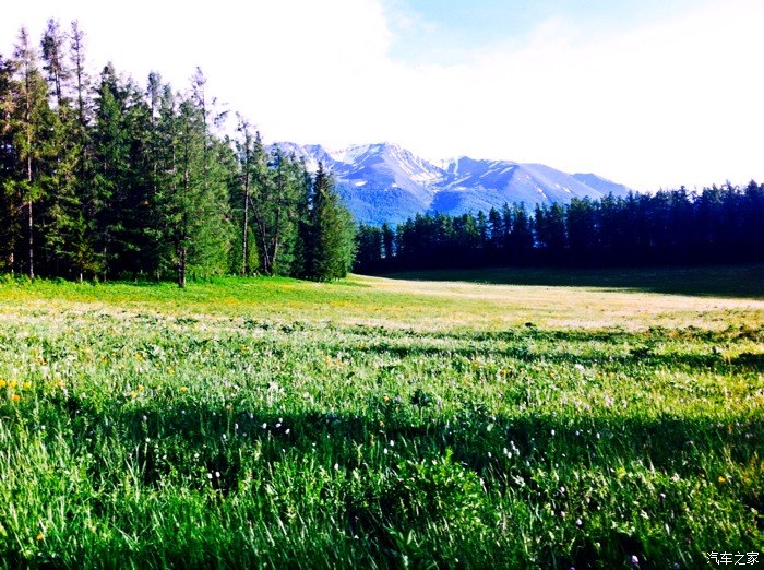 端午节的新疆喀纳斯纯净的天地自然