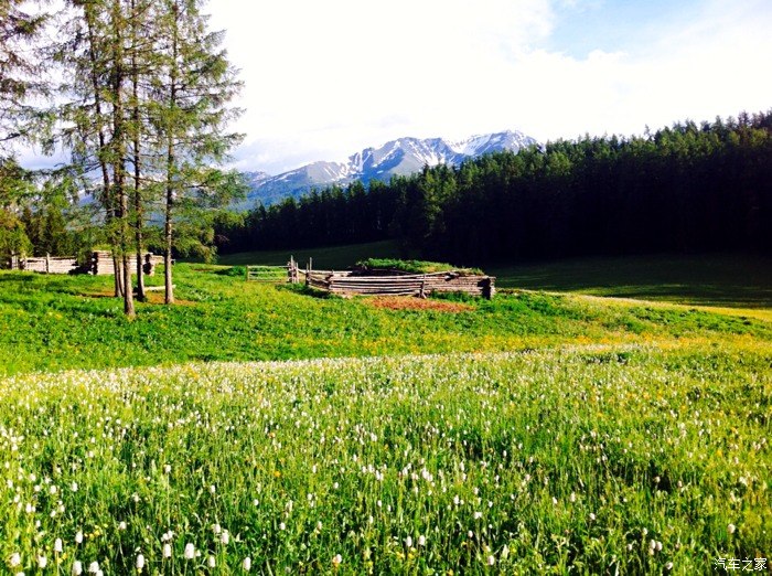 端午节的新疆喀纳斯纯净的天地自然