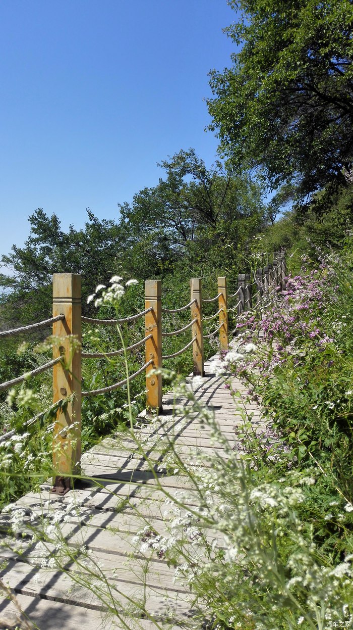 新疆伊犁巩留野核桃沟一日游
