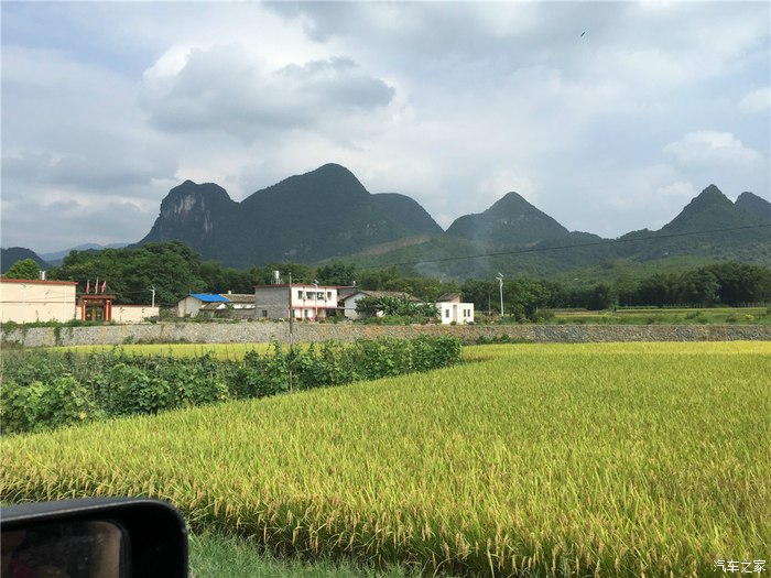 佛山车主营韶关李洞村摘鹰嘴桃小记