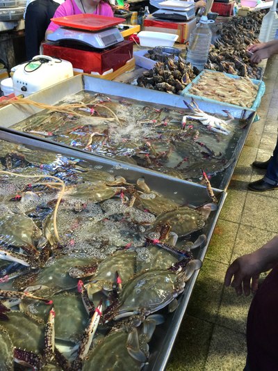 鲅鱼圈的海鲜市场