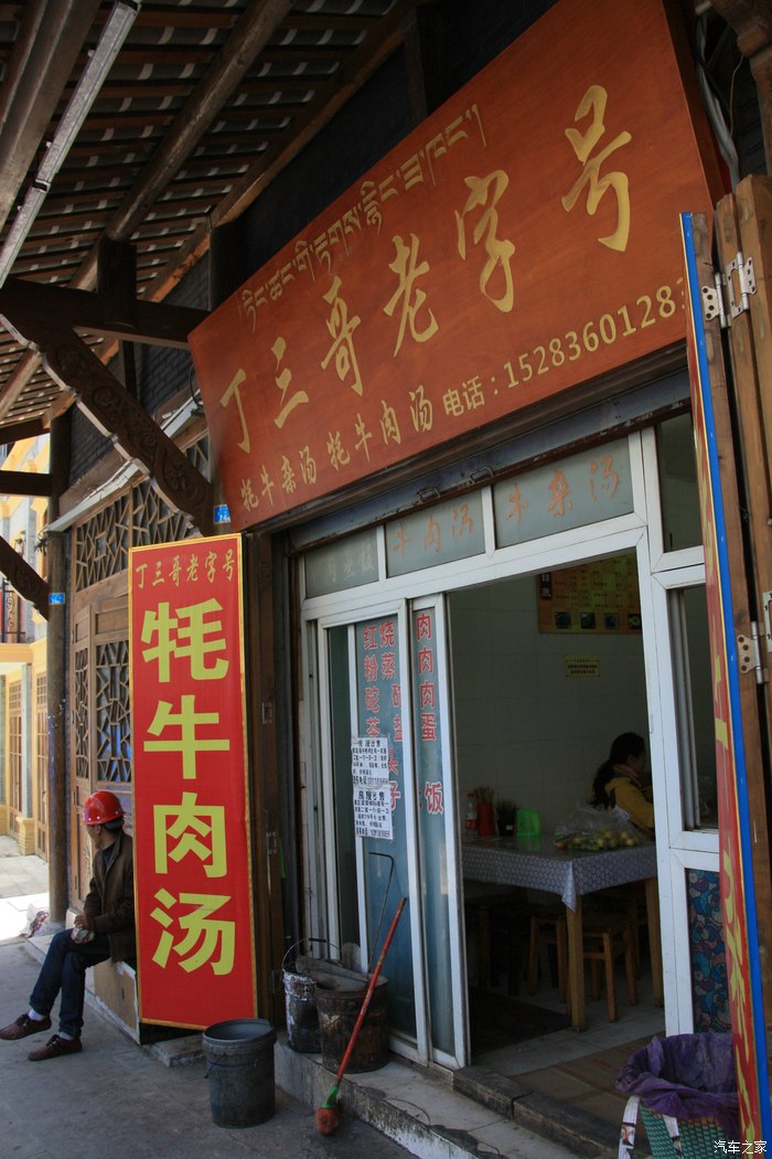 狮子伴我行走青藏高原为了心中的她风雨无阻遨游远方随心随性